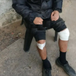Las pirañas atacan de nuevo